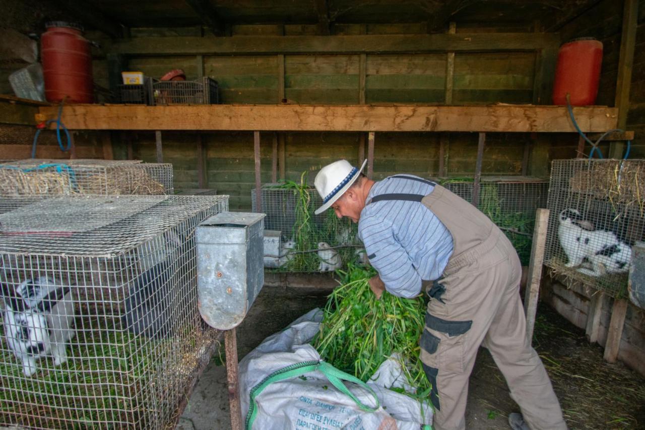 Loukas Farm House Áyios Kírikos Екстериор снимка