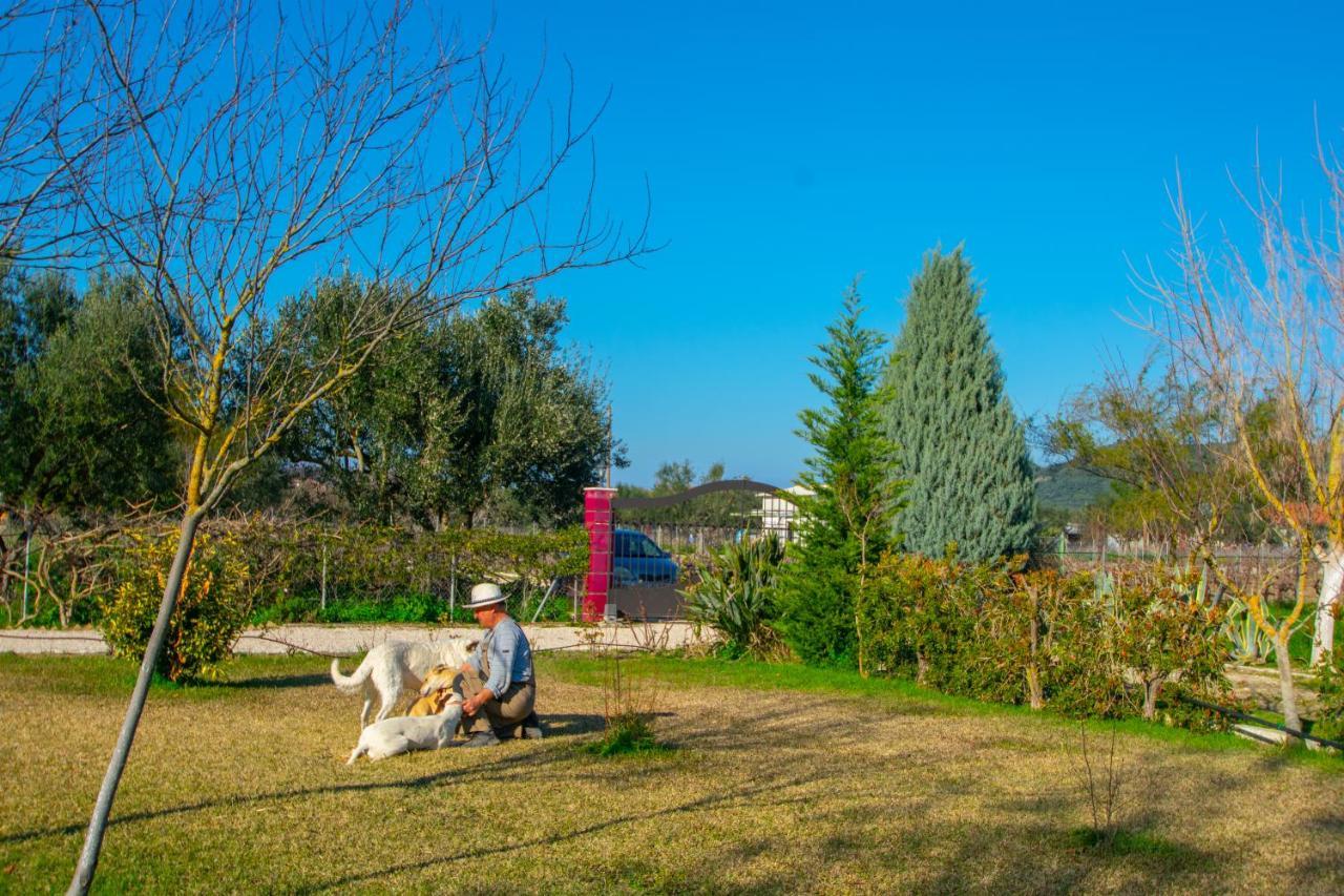 Loukas Farm House Áyios Kírikos Екстериор снимка