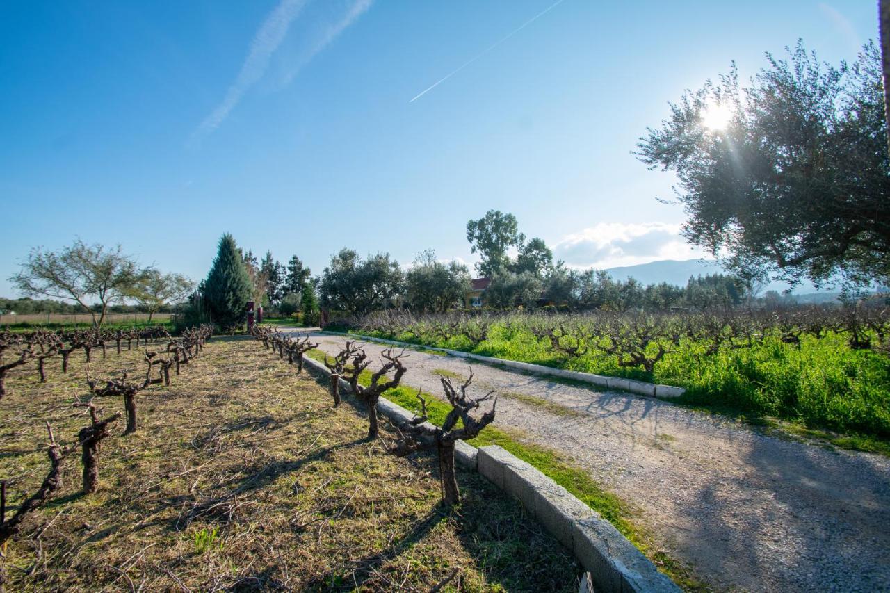 Loukas Farm House Áyios Kírikos Екстериор снимка