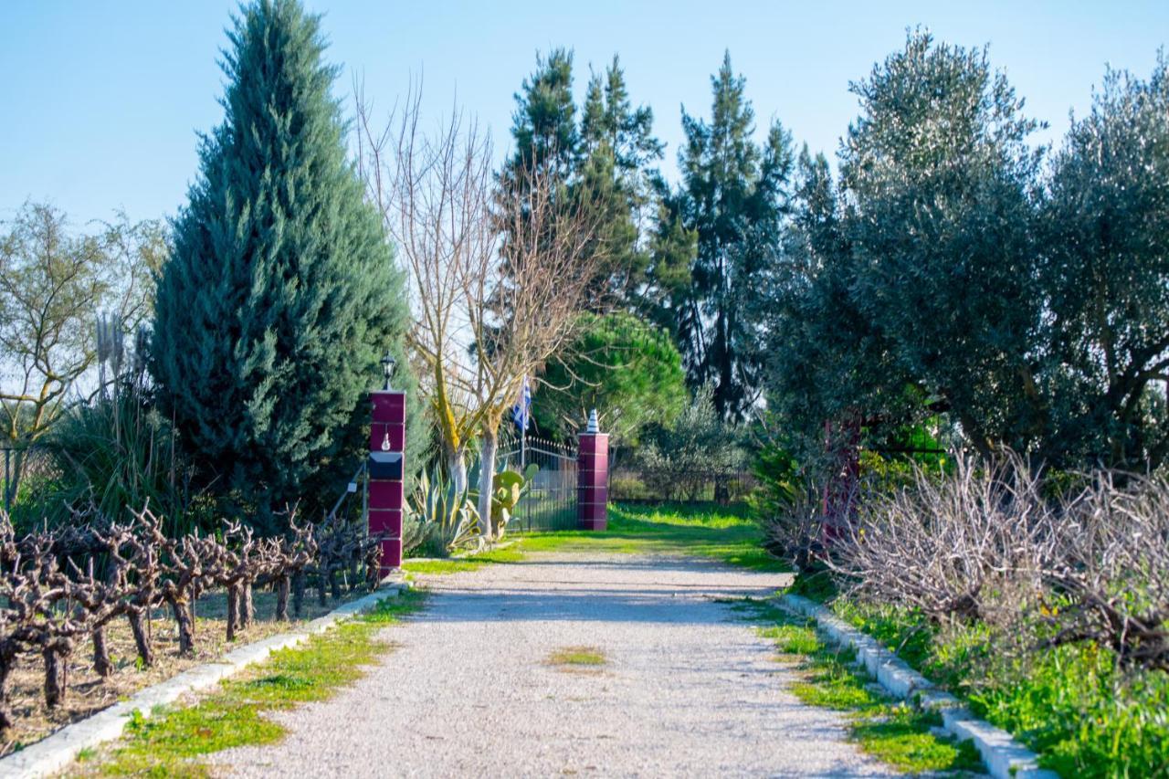 Loukas Farm House Áyios Kírikos Екстериор снимка