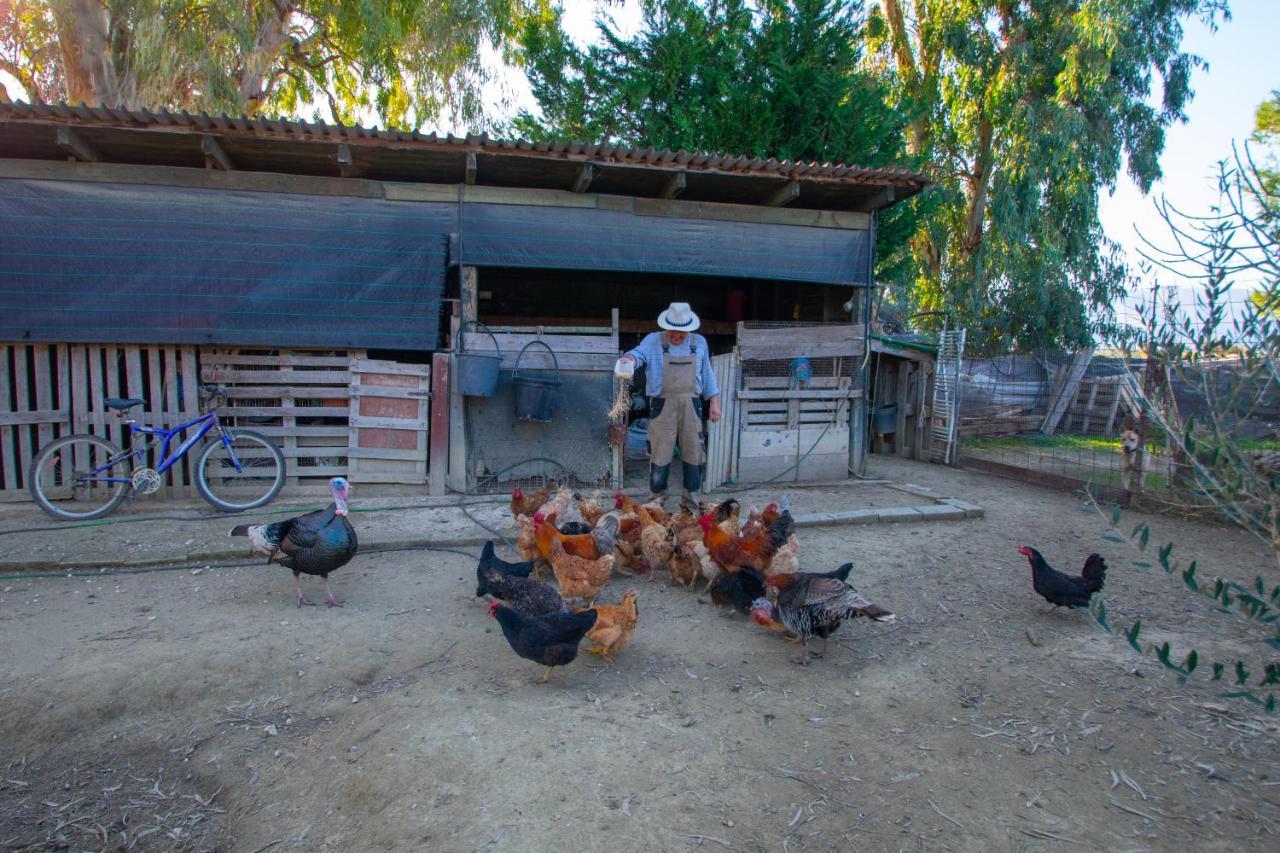 Loukas Farm House Áyios Kírikos Екстериор снимка