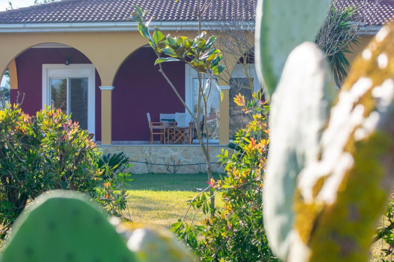 Loukas Farm House Áyios Kírikos Екстериор снимка